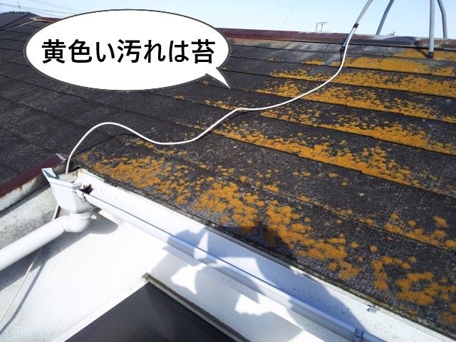 堺市中区の3階建住宅で雨漏り調査｜屋根・外壁の劣化が著しく改修工事をご提案